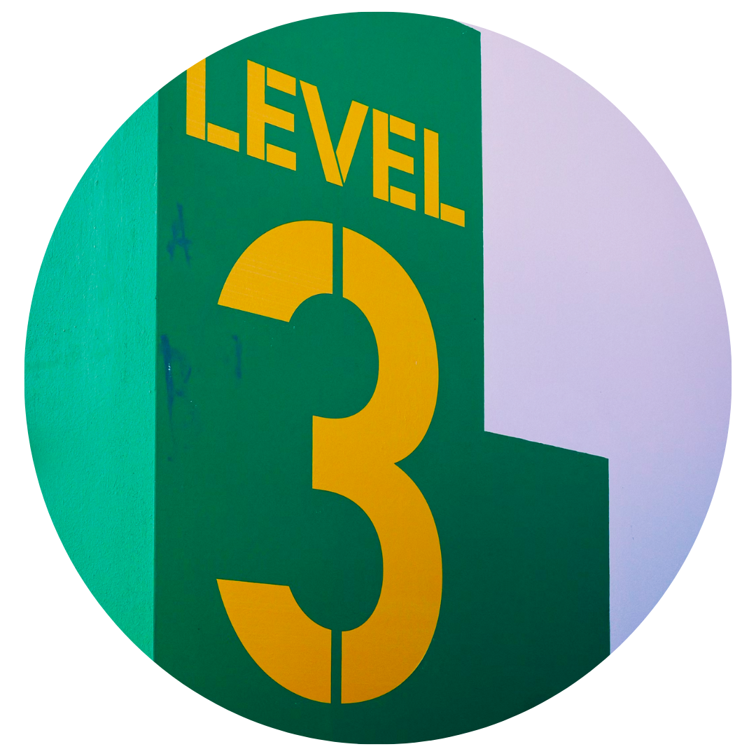Image of Level 3